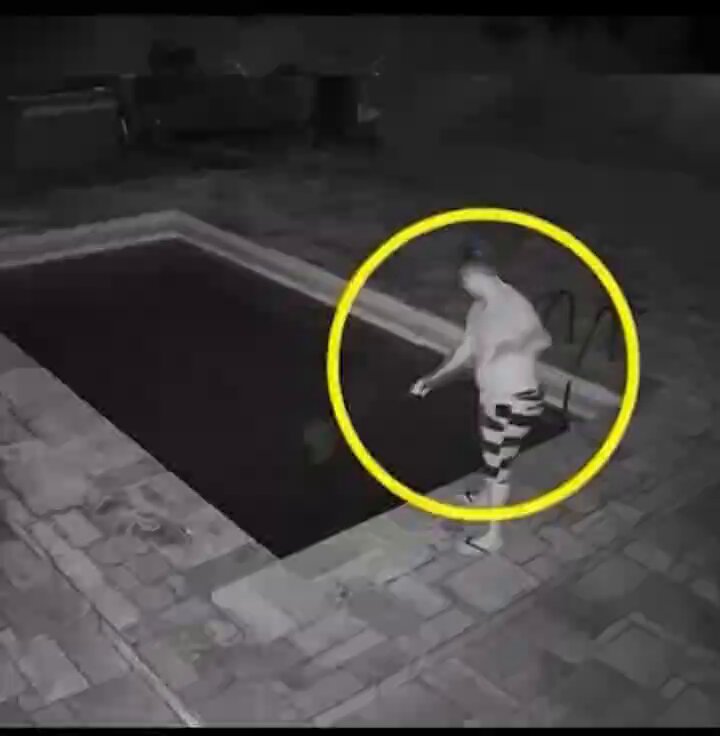 17soyrlnzdjguzlo