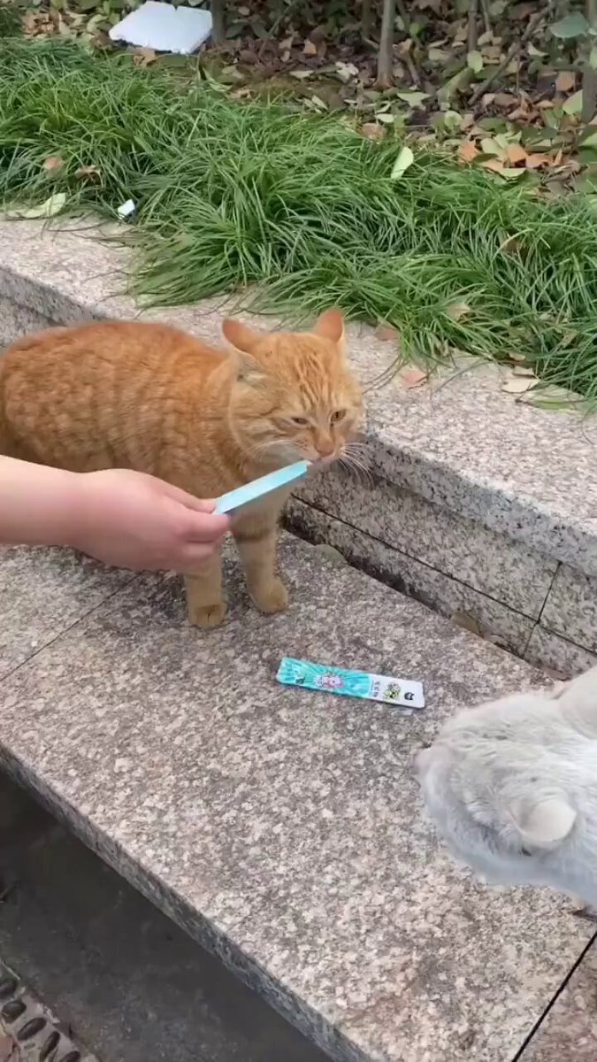w8ysmtkguvo95q5z
