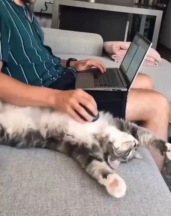 r7ftqmvqhbiyly3_