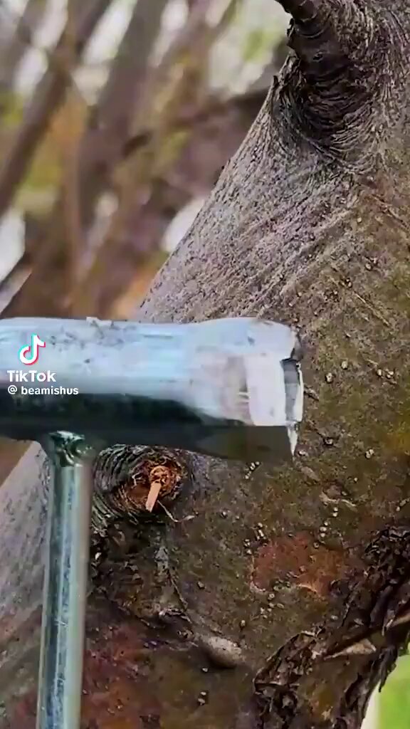 m8uqyr02liptlitl