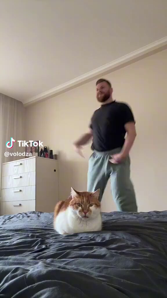 muaqei58j7z2-_d