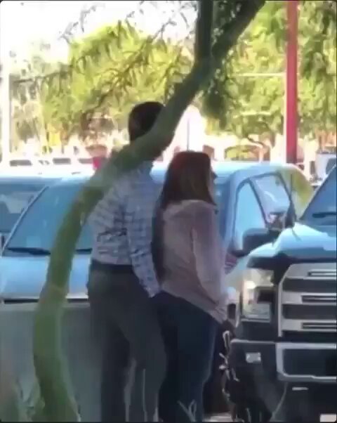 wjm9yo9juolu5y0b