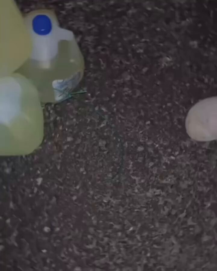 x5muq968ddmj_2dd