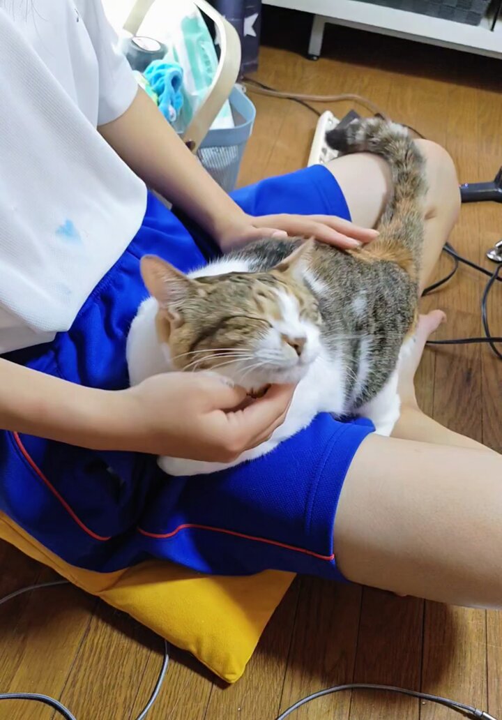 hhtds0hz4n4qwq1q