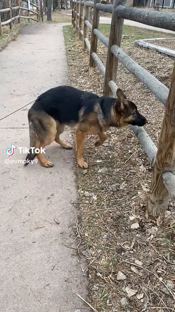 vxfdi6rcdb5zc8xr