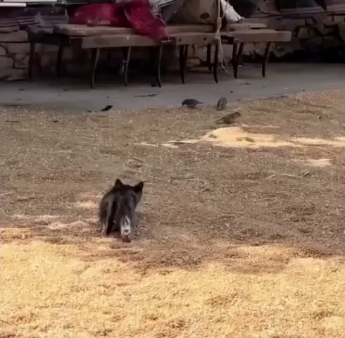 qxc42k07lhdq-3vp