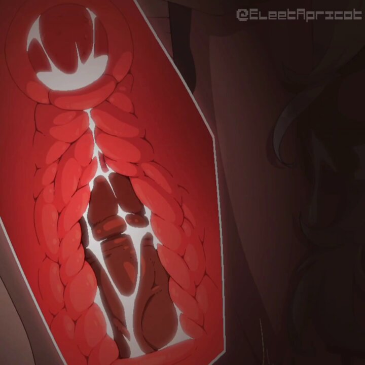 zpyg3jjopr4hwe1m