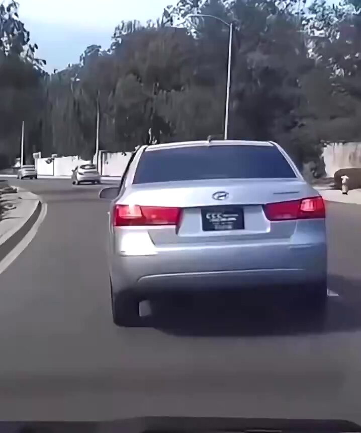 6aoorjh_qiznxjx7