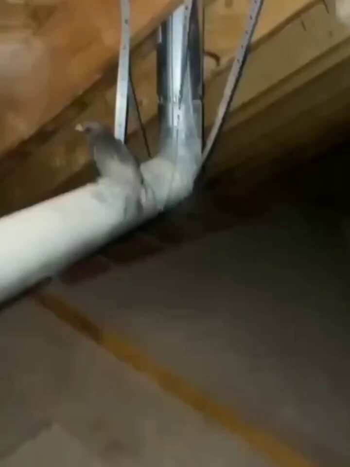 5ekzo66vla3jz0ys